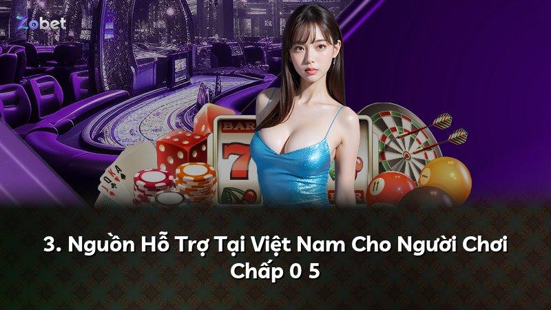 3. Nguồn Hỗ Trợ Tại Việt Nam Cho Người Chơi Chấp 0 5