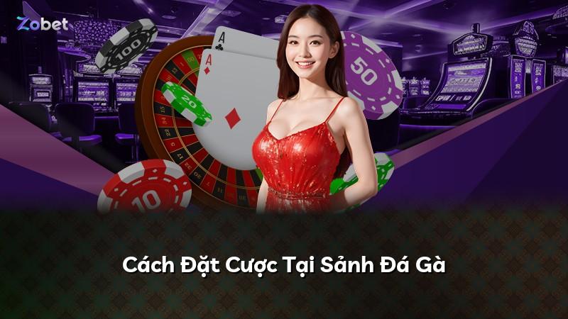 Cách Đặt Cược Tại Sảnh Đá Gà
