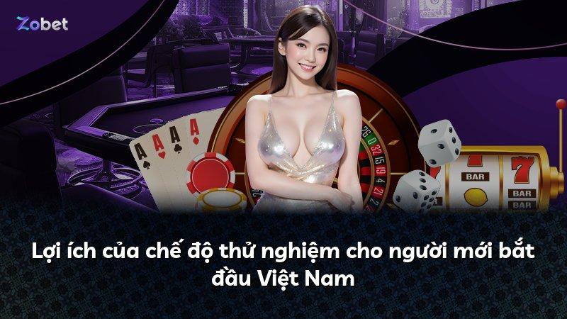 Lợi ích của chế độ thử nghiệm cho người mới bắt đầu Việt Nam