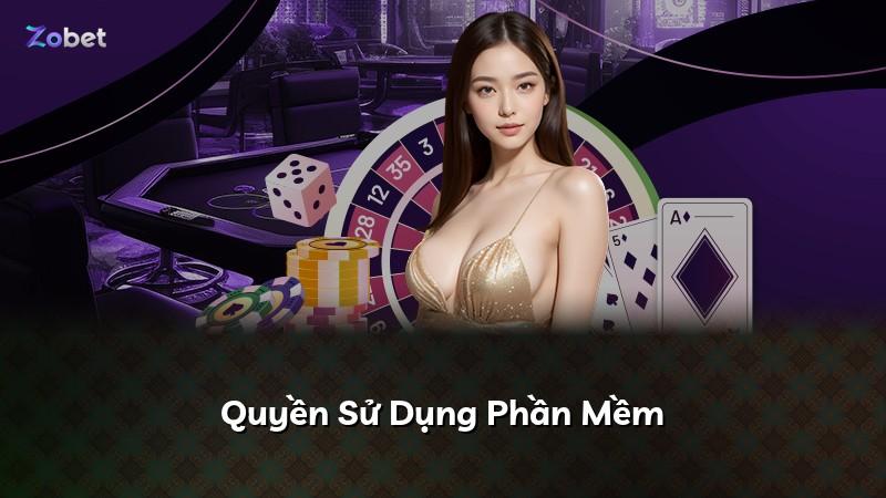 Quyền Sử Dụng Phần Mềm